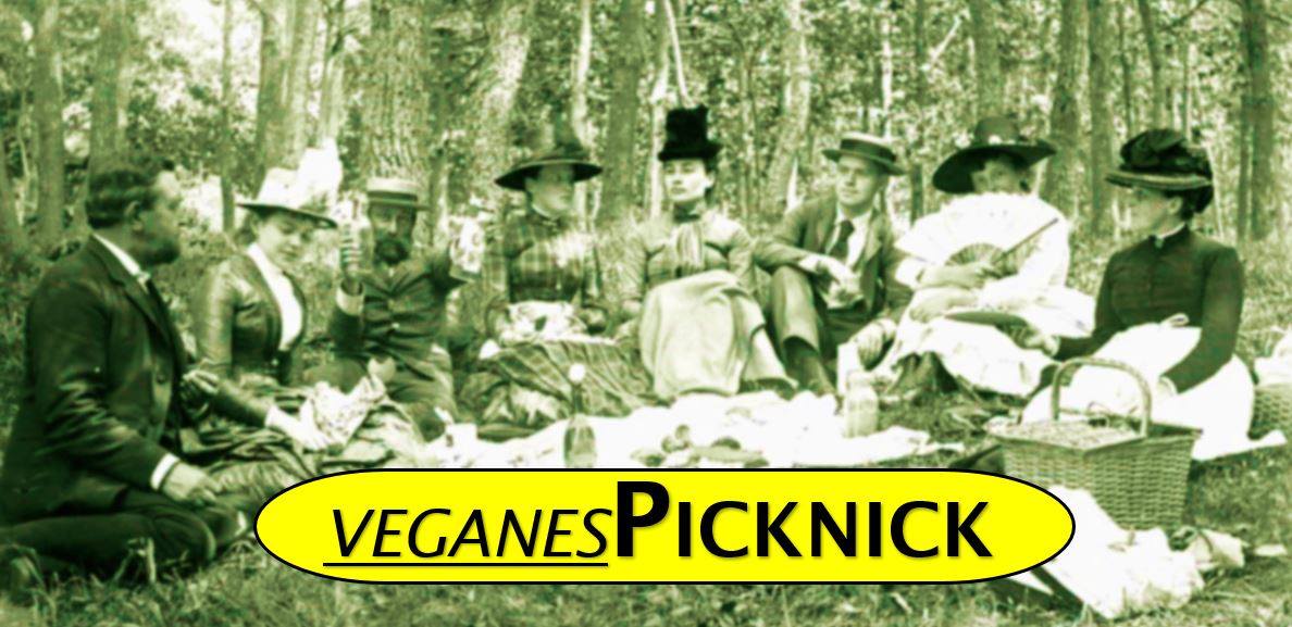 Veganes Picknick @Donaulände