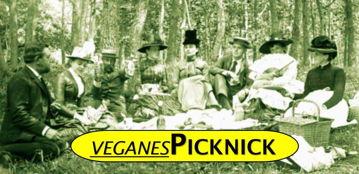 Veganes Themenpicknick @Donaulände